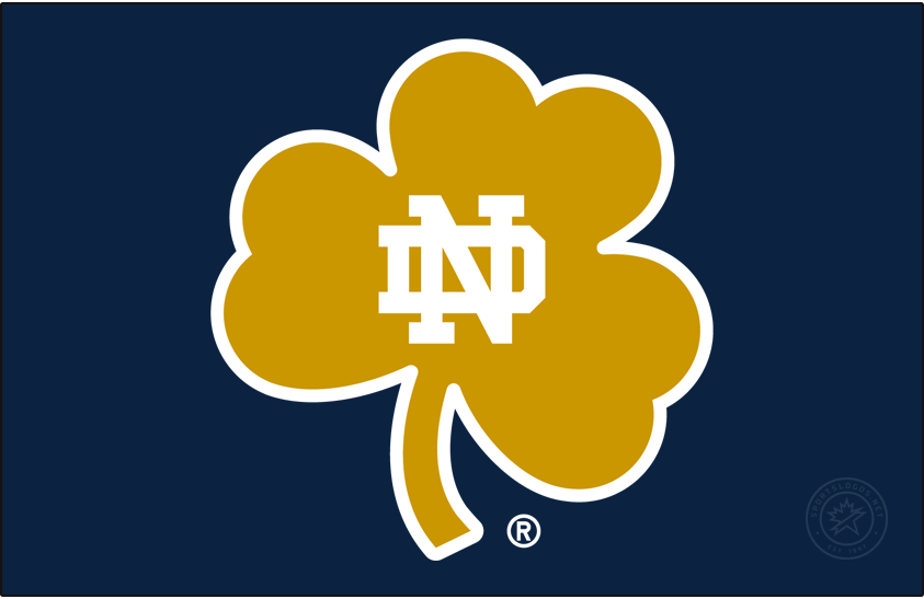 Notre Dame Fighting Irish 2015-Pres Secondary Logo iron on transfers for clothing